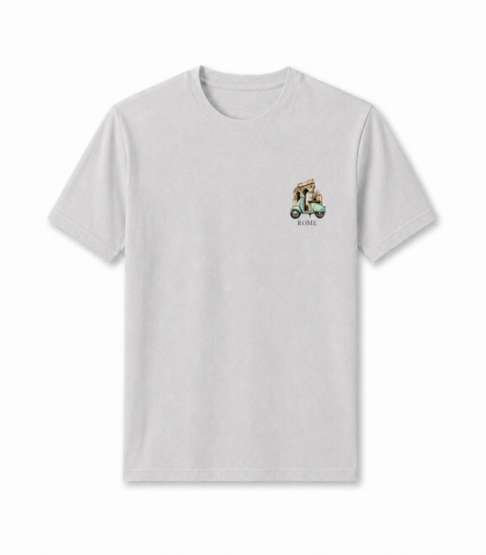 Men Printed T-Shirt  - Gray Rome